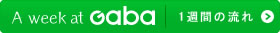 A week at Gaba 1週間の流れ