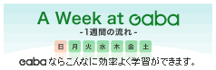 A Week at Gaba -1�T�Ԃ̃T�C�N��- Gaba�łȂ炱��ȂɌ����悭�w�K���ł��܂��B