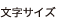 �����T�C�Y