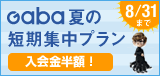 Gaba 夏の短期集中プラン