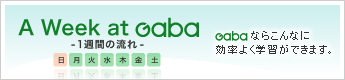 A Week at Gaba -一週間の流れ- Gabaならこんなに効率よく学習ができます。