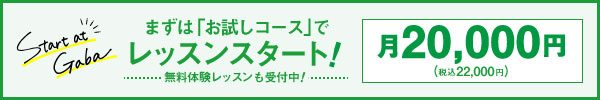 お試しコース20,000円でレッスンスタート